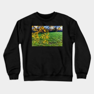 Yellow birch leaves in autumn season with green grass background Crewneck Sweatshirt